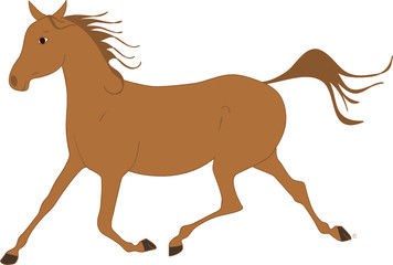 jument arabe alezane au trot