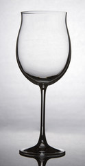 Wine glass