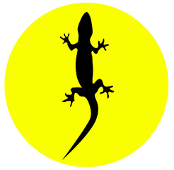 Icono de iguana
