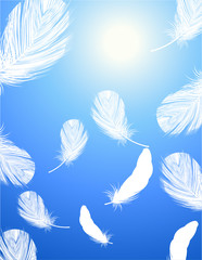 Feather background