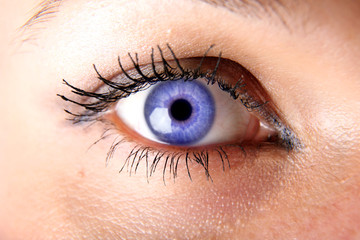 Fototapeta premium blue eye