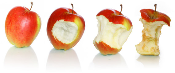 Four apples are gradual ot whole and fresh to the leftover bit