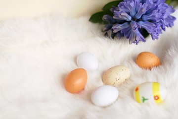 Easter eggs and bluebell