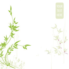 abstract floral background