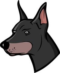 Doberman