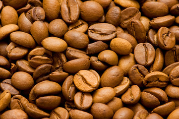 Close up of freshly roasted coffee beans