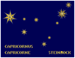 Sternbild Steinbock