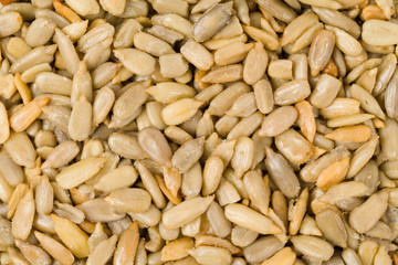 Shellless Sunflower Seed