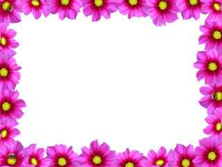 Cadre Fleurs et Bourdons