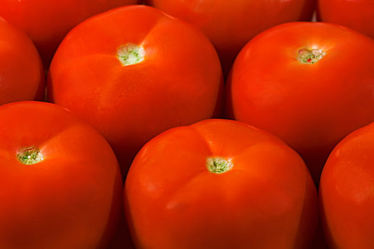 Red tasty tomatos