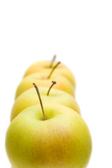 lots of yellow apples isolated on white