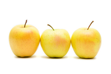 lots of yellow apples isolated on white