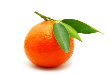 mandarin