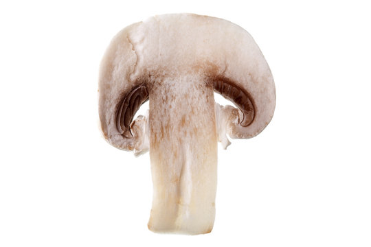 Slice of Button Mushroom - isolated against white