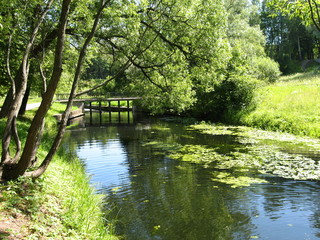 Obraz premium Park in Pavlovsk, bridge