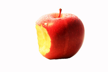 Plakat świeże jabłko