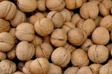Walnüsse
