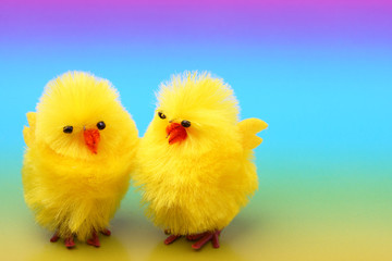 Easter chickens on colorful background