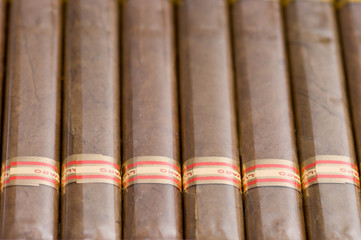 Cigars