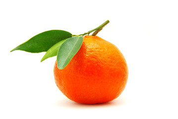 tangerine