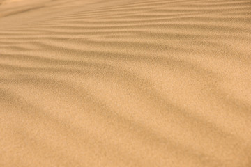 Desert sand