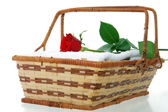 White towels in wicker basket with red rose