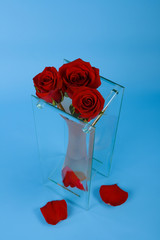 Roses in the glass vase