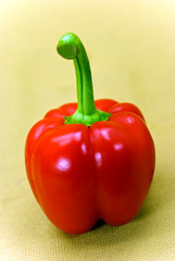 rote paprika