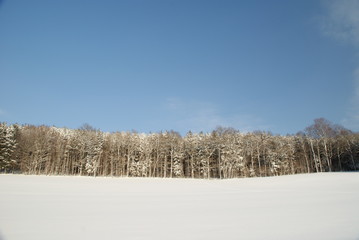 Winterwald