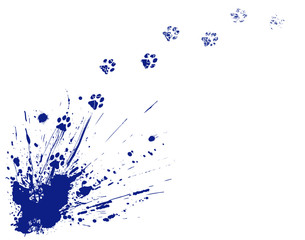 Cat spill © Adrian Hillman