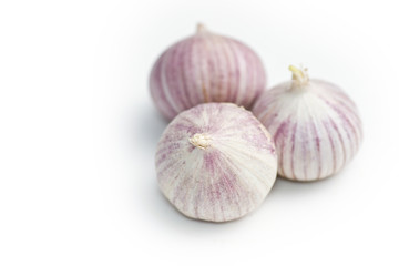 Garlic solo