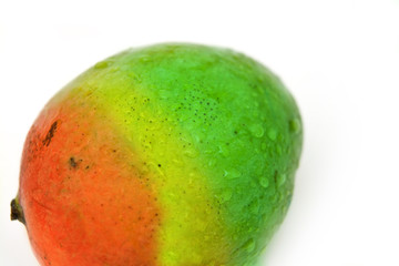 Fototapeta premium Mango fruit