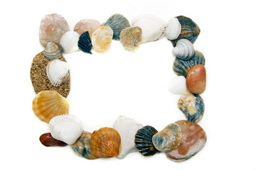 Fototapeta premium frame from seashells and stones over white