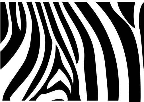 Zebrafell