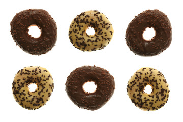 Glazed and Chocolate Doughnuts