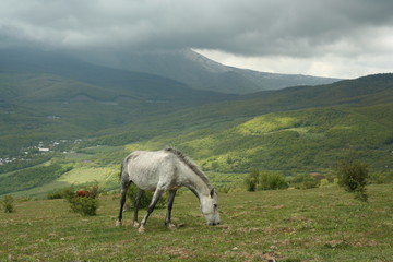 Rain clouds are over idillic life