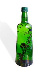 Green Bottle