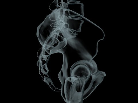 skelett schädel