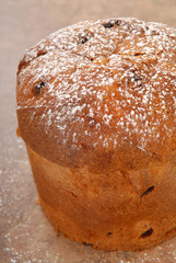 Italian Panettone Christmas Bread