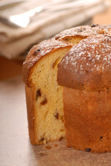 Italian Panettone Christmas Bread