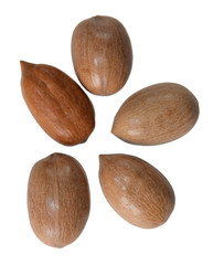 Pecan Nuts