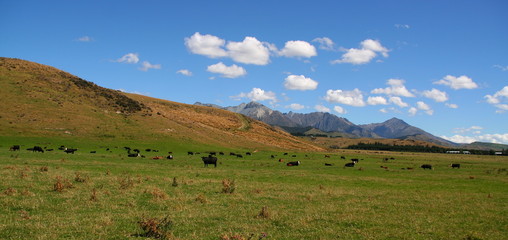 Fototapeta na wymiar Paysage de Nouvelle Zélande