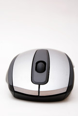mouse - maus
