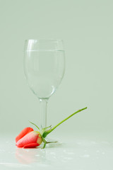 Rose and glass