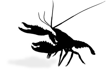 silhouette of crowfish isolate