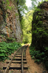 Railway in the Mountains, valley