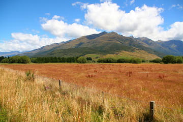 Fototapeta premium Haast pass