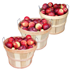Apple basket