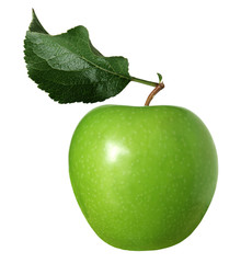 granny smith apple