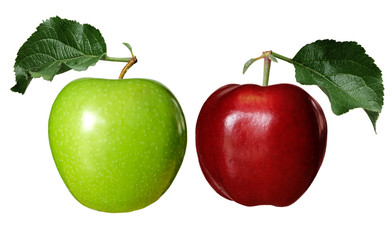 Green and Red Apples